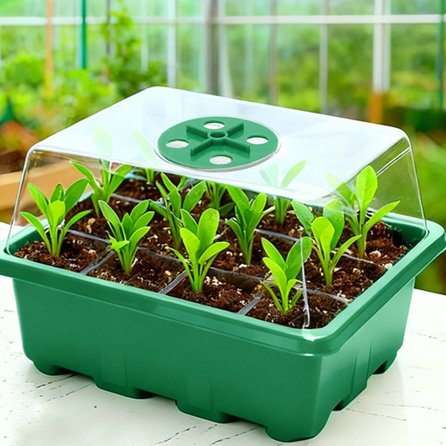 Self Watering Seedling Tray: image 3