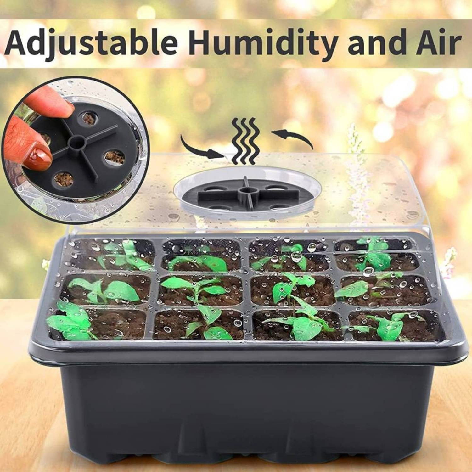 Self Watering Seedling Tray: image 4