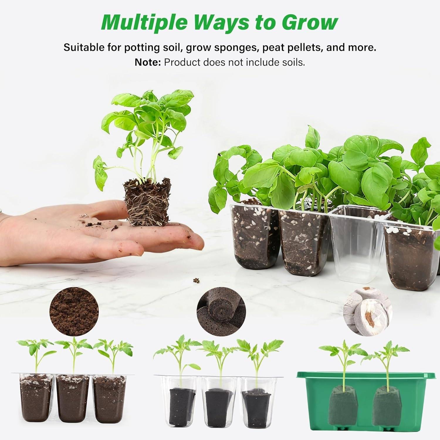 Self Watering Seedling Tray: image 6