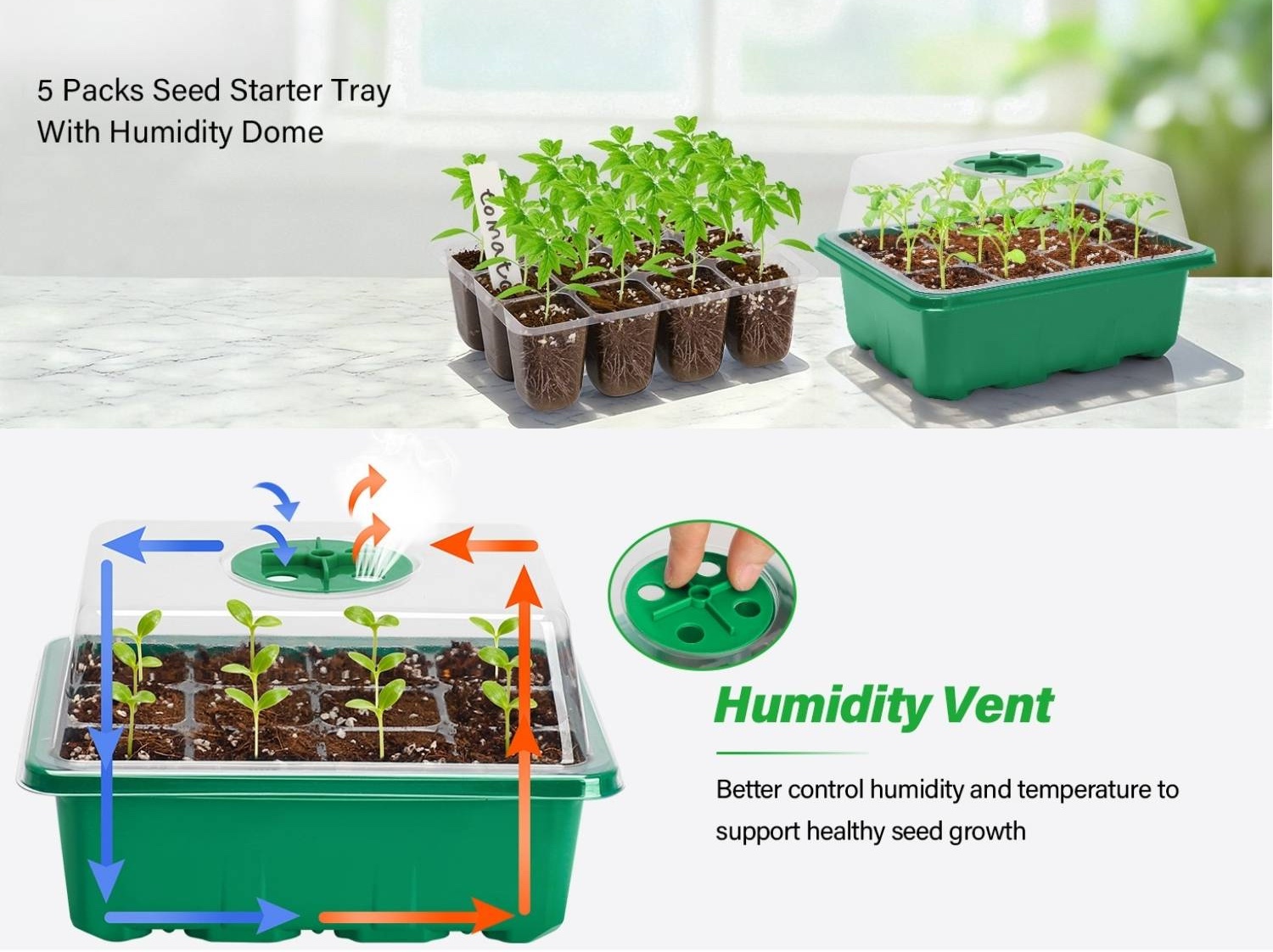 Self Watering Seedling Tray: image 8