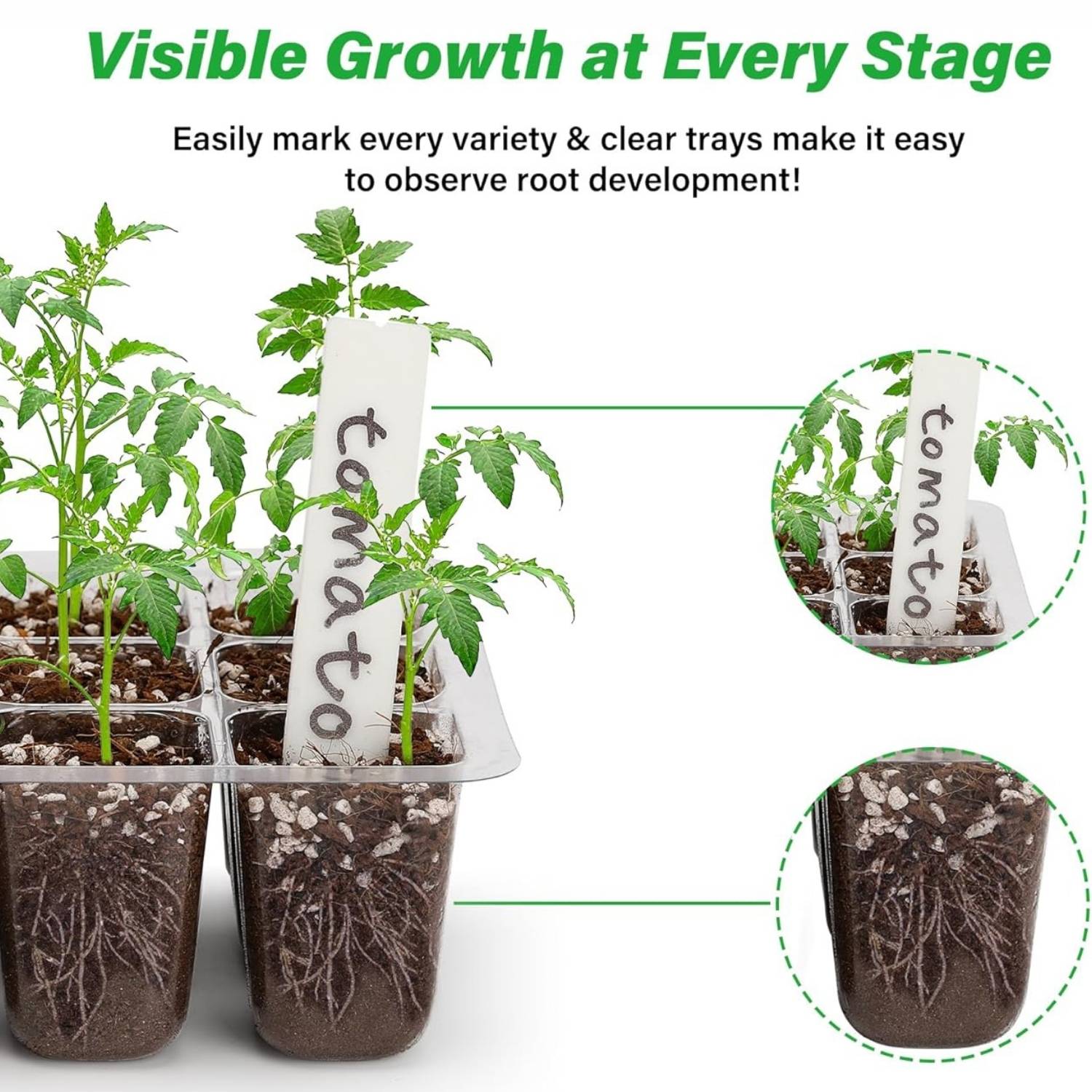 Self Watering Seedling Tray: image 9