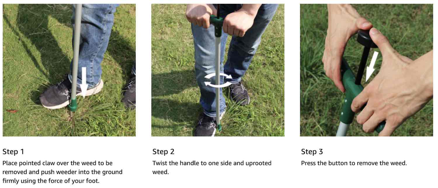 Stand Up Root Removal: image 4