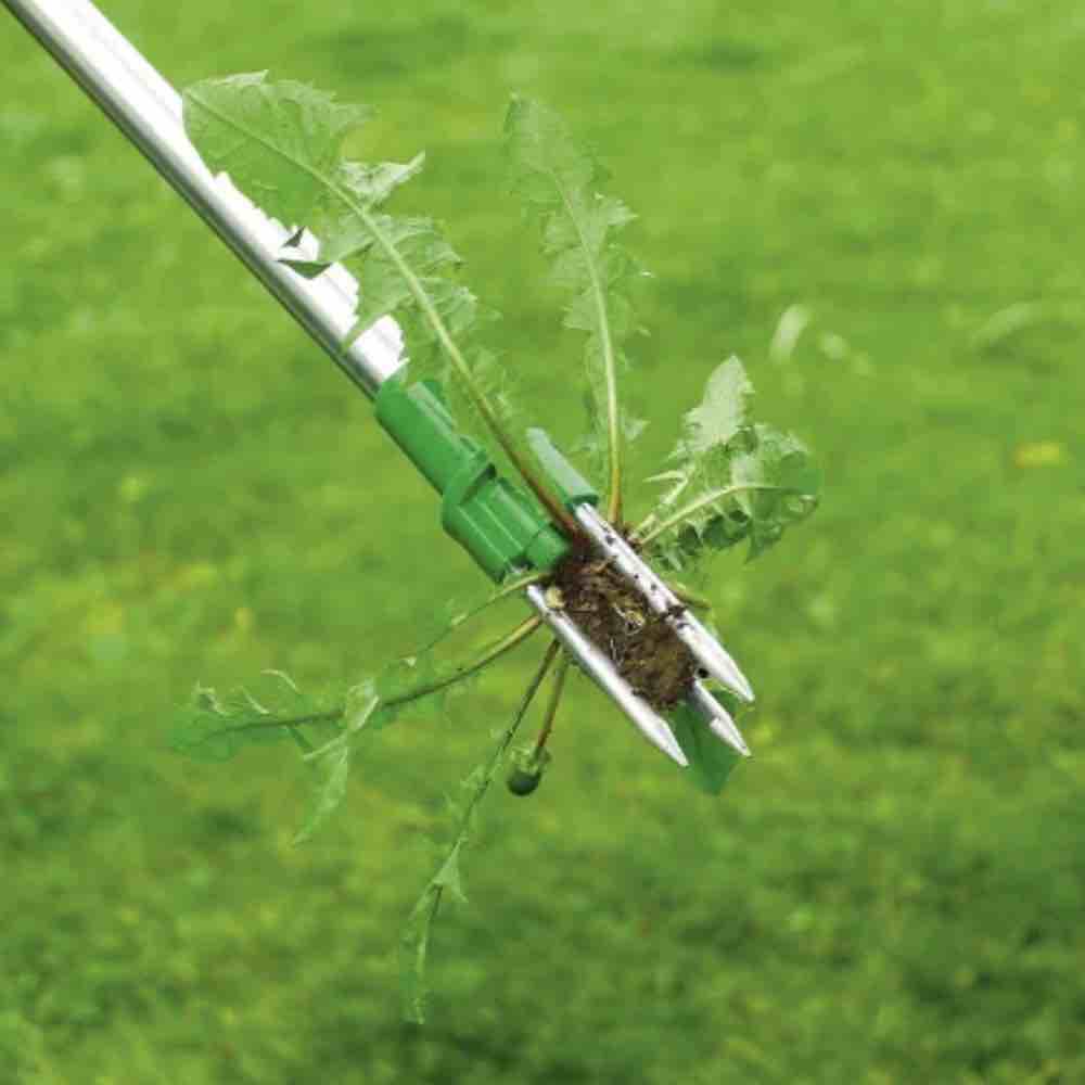 Stand Up Root Removal: image 7