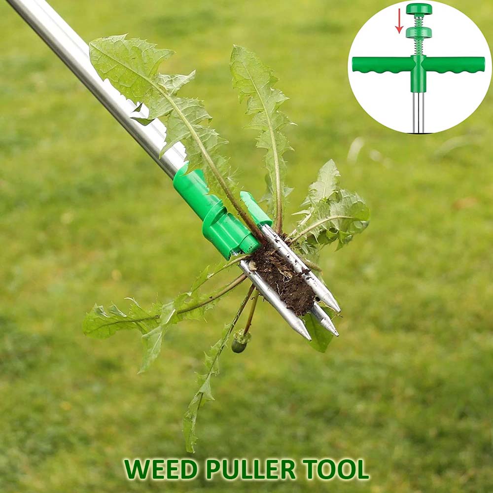 weed puller
