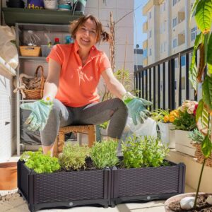 buy elevated garden bed